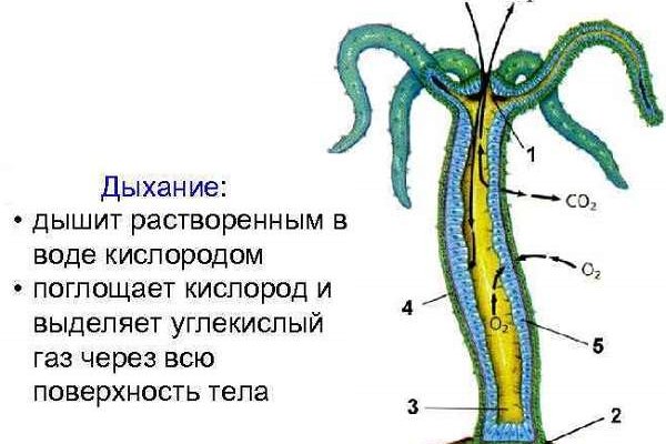Кракен маркетплейс kraken clear com