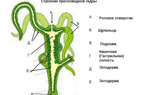 Кракен сообщество