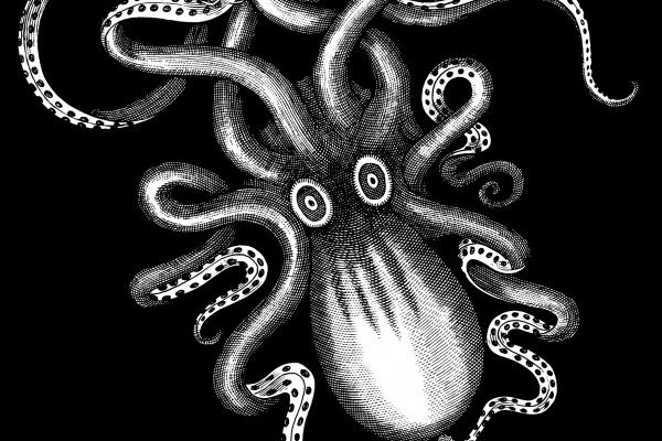 Kraken 18at