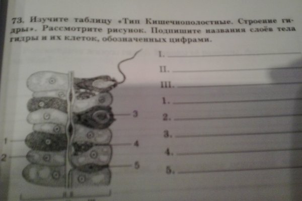 Мега кракен