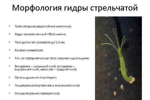 Кракен дарк шоп