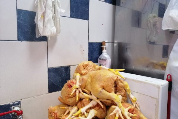 Кракен маркет что это такое