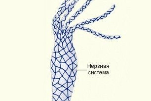 Кракен ссылка зеркало