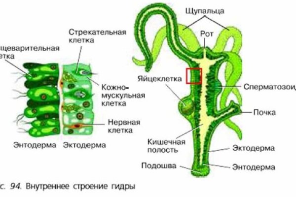 Кракен магазин даркнет
