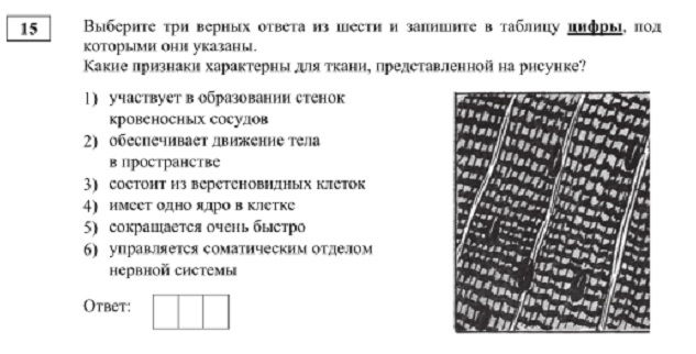 Как зайти на кракен через тор браузер