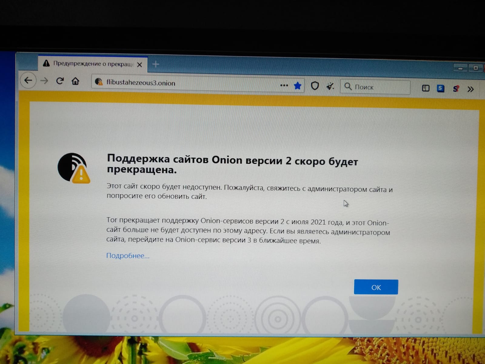 Kraken рабочее зеркало