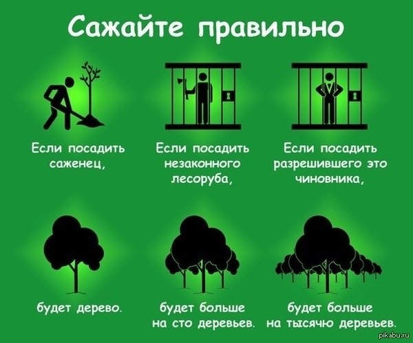 Kraken ссылка для тору